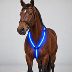 LED Light-Up Horse Riding Set