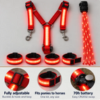 LED Light-Up Horse Riding Set