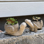 🐌 The Garden Planter That Makes Everyone Smile