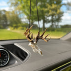 Mini Whitetail Deer Skull & Antler Display
