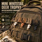 Mini Whitetail Deer Skull & Antler Display