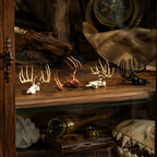 Mini Whitetail Deer Skull & Antler Display