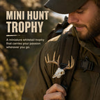 Mini Whitetail Deer Skull & Antler Display
