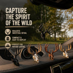 Mini Whitetail Deer Skull & Antler Display