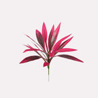 EverBloom Luxe-växt
