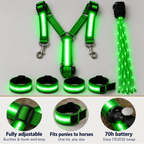 LED Light-Up Horse Riding Set